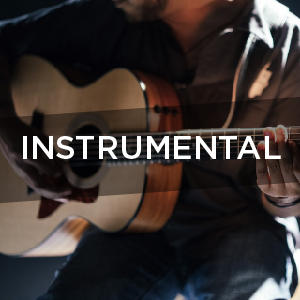 Instrumental Artists For Hire Central Coast