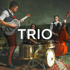 Central Coast Trio Musicians